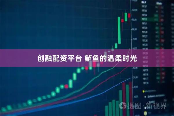创融配资平台 鲈鱼的温柔时光